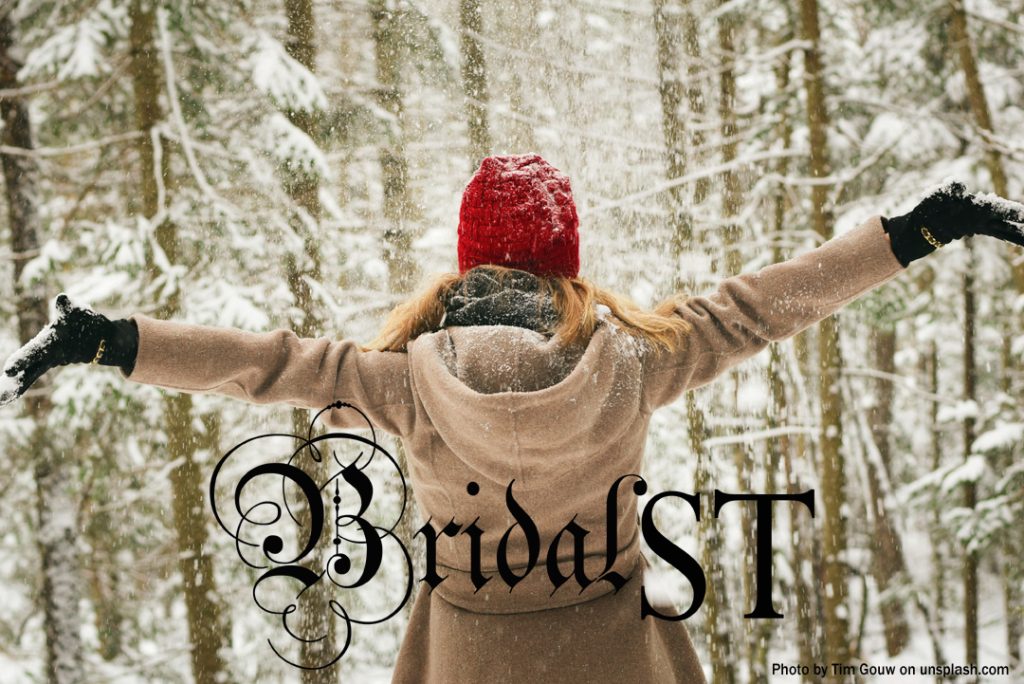 Bridal Street | Bridal Holiday Sale